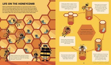 Stemville The Bee Connection - Ben Newman [KSIĄŻKA]