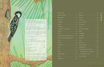 Stitched Journeys With Birds - Martha Sielman [KSIĄŻKA]