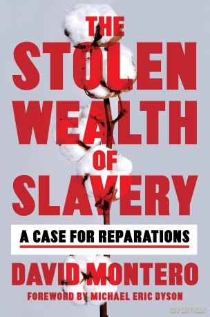 Stolen Wealth Of Slavery - David Montero [KSIĄŻKA]