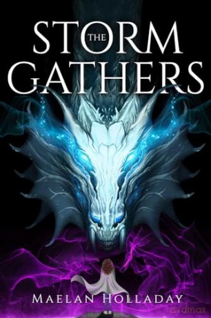 Storm Gathers - Maelan Holladay [KSIĄŻKA]