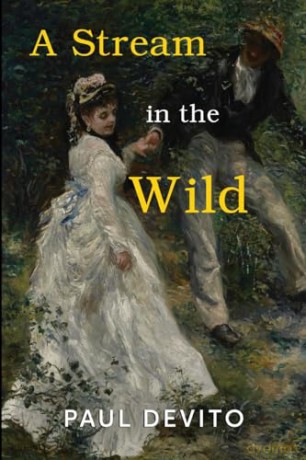 Stream In The Wild - Paul Devito [KSIĄŻKA]