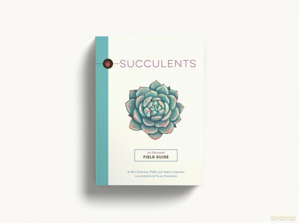 SUCCULENTS: An Illustrated Field Guide (Illustrated Field Guides) - Dr. Kit Carlson [KSIĄŻKA]