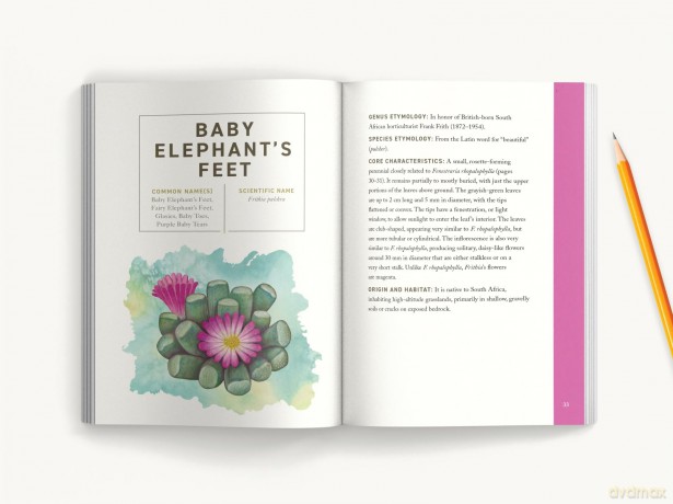 SUCCULENTS: An Illustrated Field Guide (Illustrated Field Guides) - Dr. Kit Carlson [KSIĄŻKA]