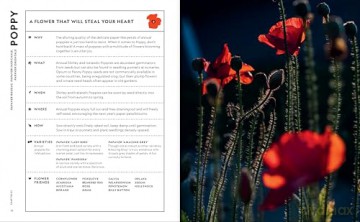 Super Bloom Handbook - Jac Semmler [KSIĄŻKA]