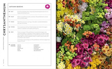 Super Bloom Handbook - Jac Semmler [KSIĄŻKA]