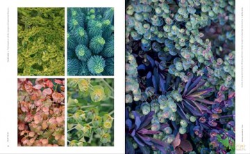 Super Bloom Handbook - Jac Semmler [KSIĄŻKA]