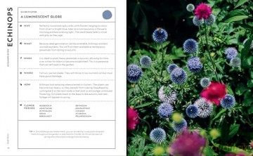 Super Bloom Handbook - Jac Semmler [KSIĄŻKA]