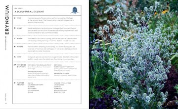 Super Bloom Handbook - Jac Semmler [KSIĄŻKA]