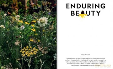 Super Bloom Handbook - Jac Semmler [KSIĄŻKA]