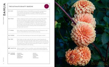Super Bloom Handbook - Jac Semmler [KSIĄŻKA]