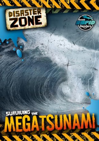 Surviving The Megatsunami - Madeline Tyler [KSIĄŻKA]