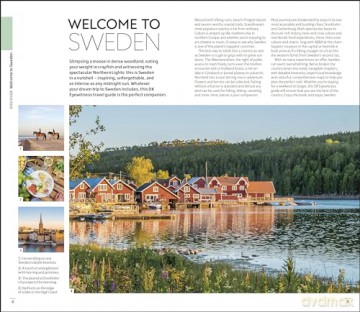 Sweden - Dk Eyewitness [KSIĄŻKA]