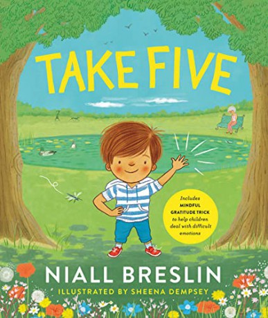 Take Five - Niall Breslin [KSIĄŻKA]