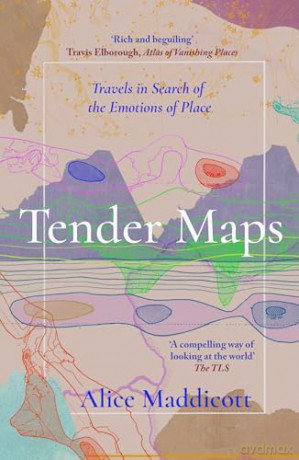 Tender Maps - Alice Maddicott [KSIĄŻKA]