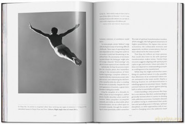 The 12 Steps. Symbols, Myths, and Archetypes of Recovery - K Massara [KSIĄŻKA]