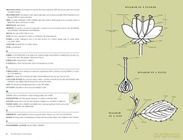 The Aifd Guide To Floral Design - American Institute O [KSIĄŻKA]