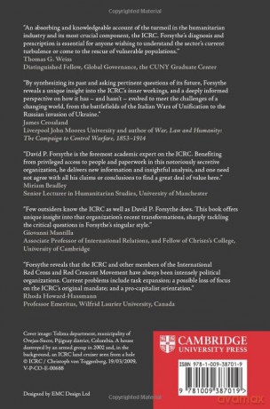 The Contemporary International Committe - Forsythe David P. [KSIĄŻKA]