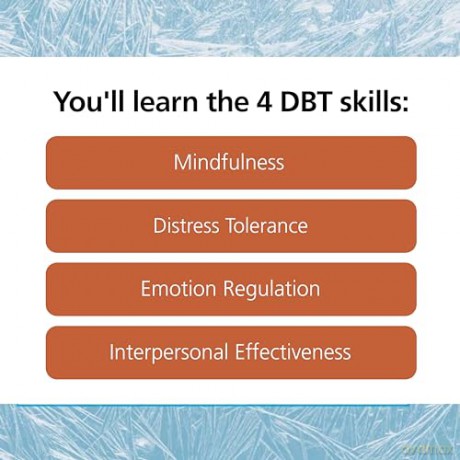 The Dialectical Behavior Therapy Skills Workbook for Bipolar Disorder: Using Dbt to Regain Control of Your Emotions and Your Life (New Harbinger Self-Help Workbook) - Sheri Van Dijk [KSIĄŻKA]