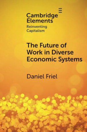The Future Of Work In Diverse Economic - Friel Daniel [KSIĄŻKA]