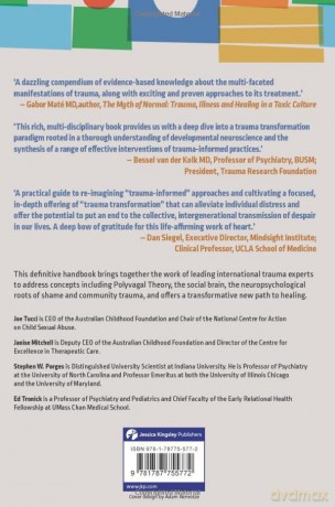 The Handbook of Trauma-Transformative Practice: Emerging Therapeutic Frameworks for Supporting Individuals, Families or Communities Impacted by Abuse and Violence - JoeEt Al Tucci [KSIĄŻKA]