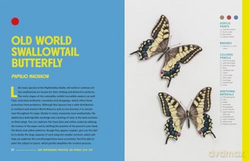 The Insect Artist - Zebith Stacy Thalden [KSIĄŻKA]