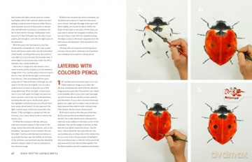 The Insect Artist - Zebith Stacy Thalden [KSIĄŻKA]