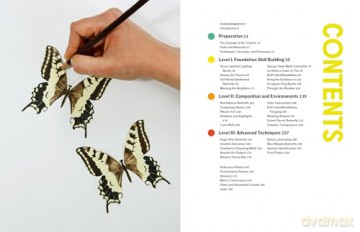 The Insect Artist - Zebith Stacy Thalden [KSIĄŻKA]