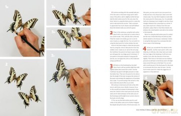 The Insect Artist - Zebith Stacy Thalden [KSIĄŻKA]