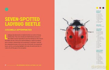 The Insect Artist - Zebith Stacy Thalden [KSIĄŻKA]