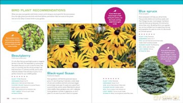The Ultimate Wildlife Habitat Garden - Stacy Tornio [KSIĄŻKA]