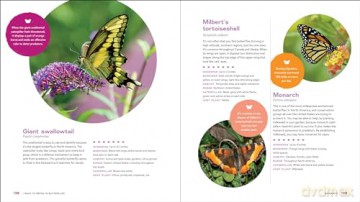 The Ultimate Wildlife Habitat Garden - Stacy Tornio [KSIĄŻKA]