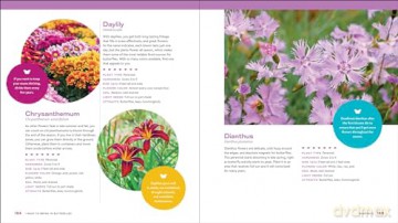 The Ultimate Wildlife Habitat Garden - Stacy Tornio [KSIĄŻKA]