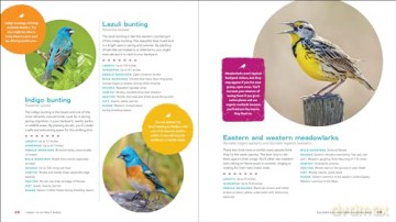 The Ultimate Wildlife Habitat Garden - Stacy Tornio [KSIĄŻKA]