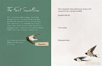 The Wild Remedy Journal - Emma Mitchell [KSIĄŻKA]
