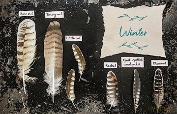 The Wild Remedy Journal - Emma Mitchell [KSIĄŻKA]