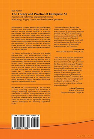 Theory And Practice Of Enterprise Ai - Ilya Katsov [KSIĄŻKA]