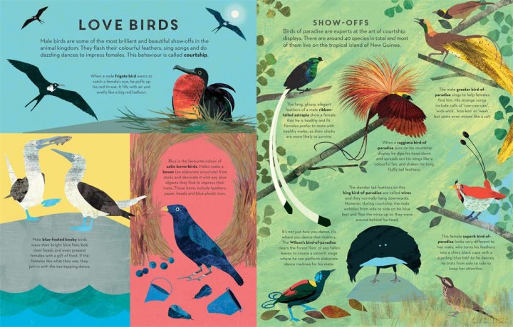 There Are Birds Everywhere - Britta Teckentrup [KSIĄŻKA]
