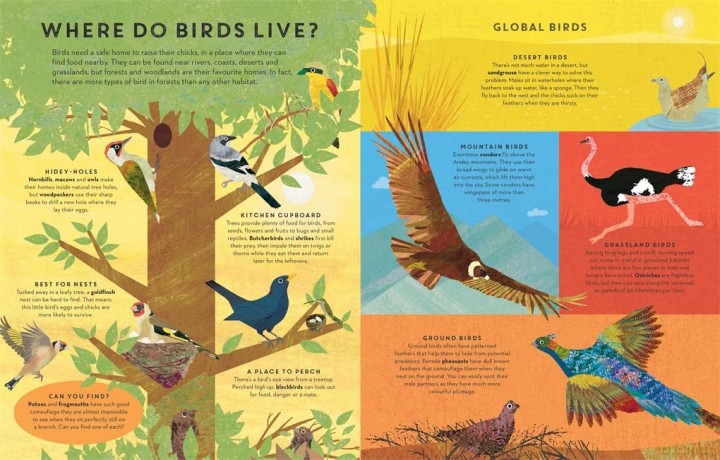 There Are Birds Everywhere - Britta Teckentrup [KSIĄŻKA]