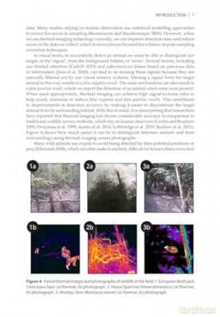 Thermal Imaging For Wildlife Applicatio - Kayleigh F Williams [KSIĄŻKA]