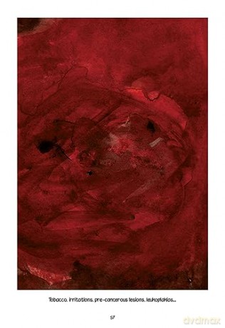 Through Clouds/Smoke Freuds Final Days - Suzanne Leclair [KSIĄŻKA]