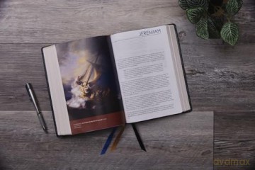 Timeless Truths Bible: One faith. Handed down. For all the saints. (NET, Brown Leathersoft, Comfort Print) - Matthew Z. Capps [KSIĄŻKA]