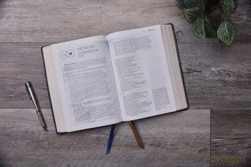 Timeless Truths Bible: One faith. Handed down. For all the saints. (NET, Brown Leathersoft, Comfort Print) - Matthew Z. Capps [KSIĄŻKA]