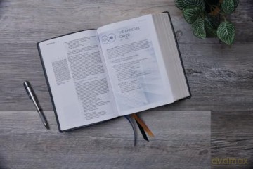Timeless Truths Bible: One faith. Handed down. For all the saints. (NET, Brown Leathersoft, Comfort Print) - Matthew Z. Capps [KSIĄŻKA]