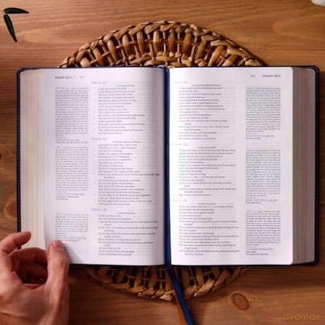 Timeless Truths Bible: One faith. Handed down. For all the saints. (NET, Brown Leathersoft, Comfort Print) - Matthew Z. Capps [KSIĄŻKA]