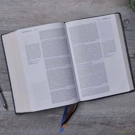 Timeless Truths Bible: One faith. Handed down. For all the saints. (NET, Brown Leathersoft, Comfort Print) - Matthew Z. Capps [KSIĄŻKA]
