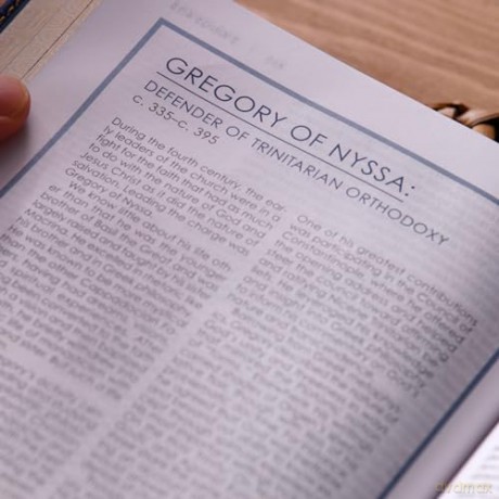 Timeless Truths Bible: One faith. Handed down. For all the saints. (NET, Brown Leathersoft, Comfort Print) - Matthew Z. Capps [KSIĄŻKA]