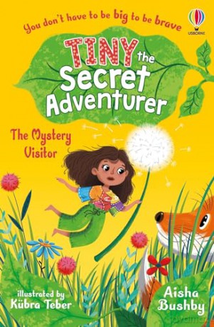 Tiny The Secret/The Mystery Visitor - Aisha Bushby [KSIĄŻKA]