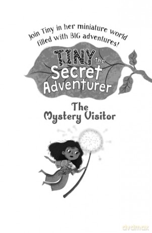 Tiny The Secret/The Mystery Visitor - Aisha Bushby [KSIĄŻKA]