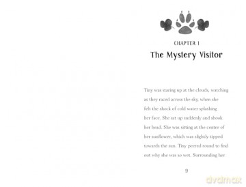 Tiny The Secret/The Mystery Visitor - Aisha Bushby [KSIĄŻKA]