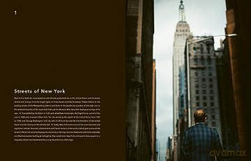 Trope New York [KSIĄŻKA]